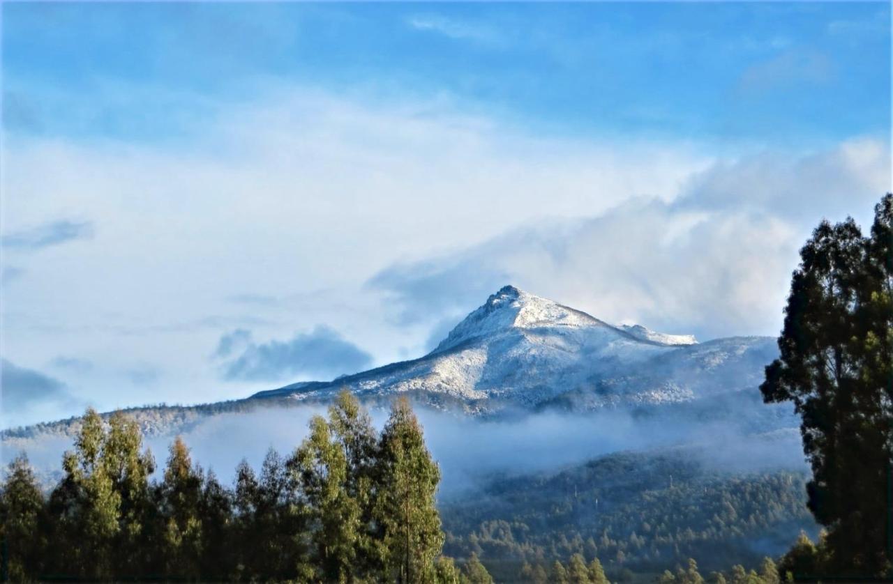 Maydena Mountain Cabins Esterno foto