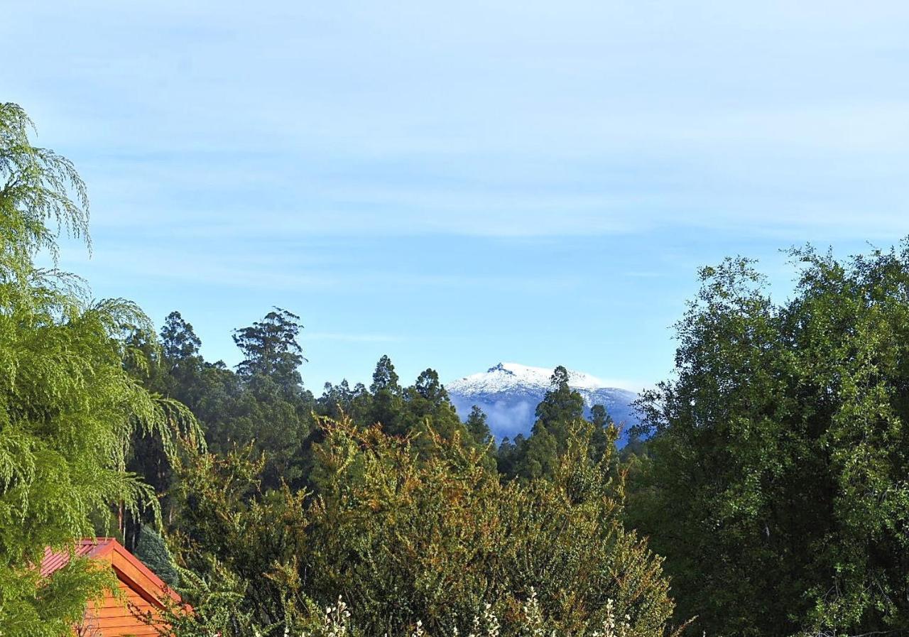 Maydena Mountain Cabins Esterno foto