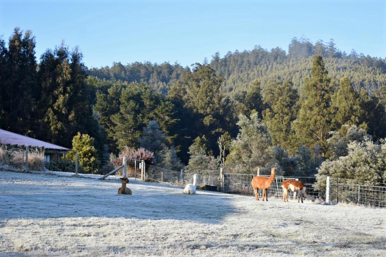 Maydena Mountain Cabins Esterno foto