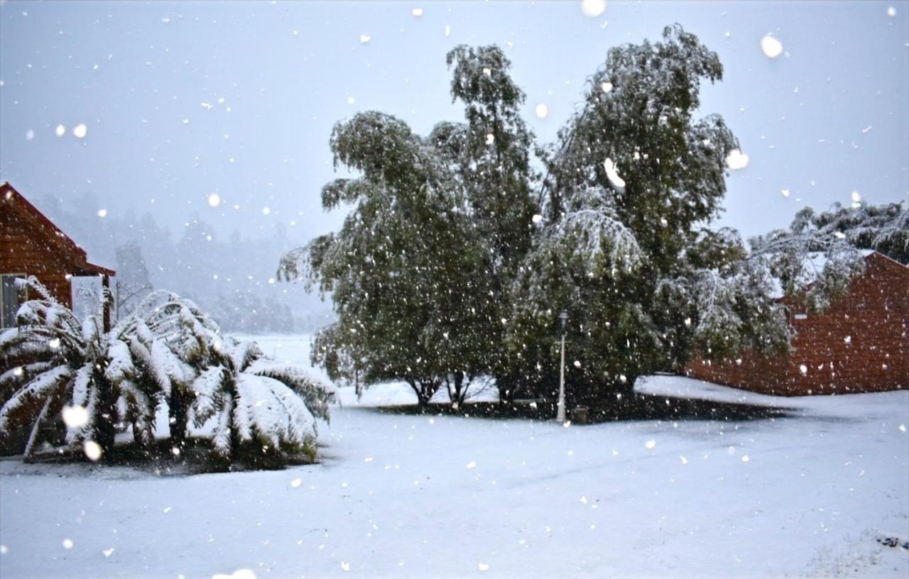 Maydena Mountain Cabins Esterno foto