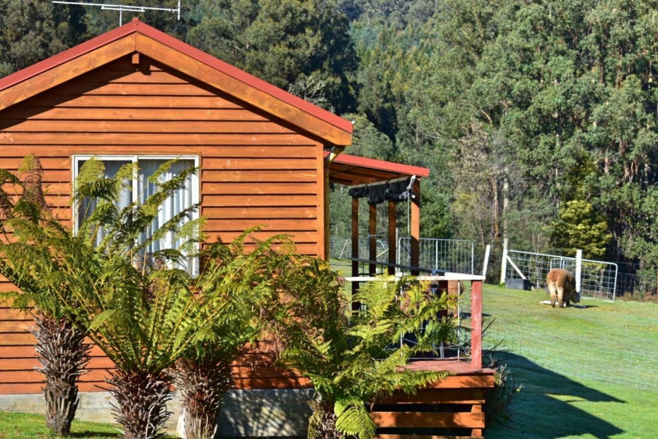 Maydena Mountain Cabins Esterno foto