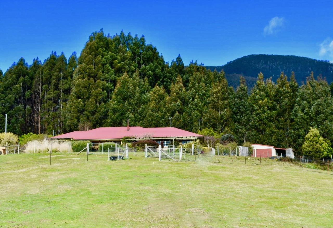 Maydena Mountain Cabins Esterno foto